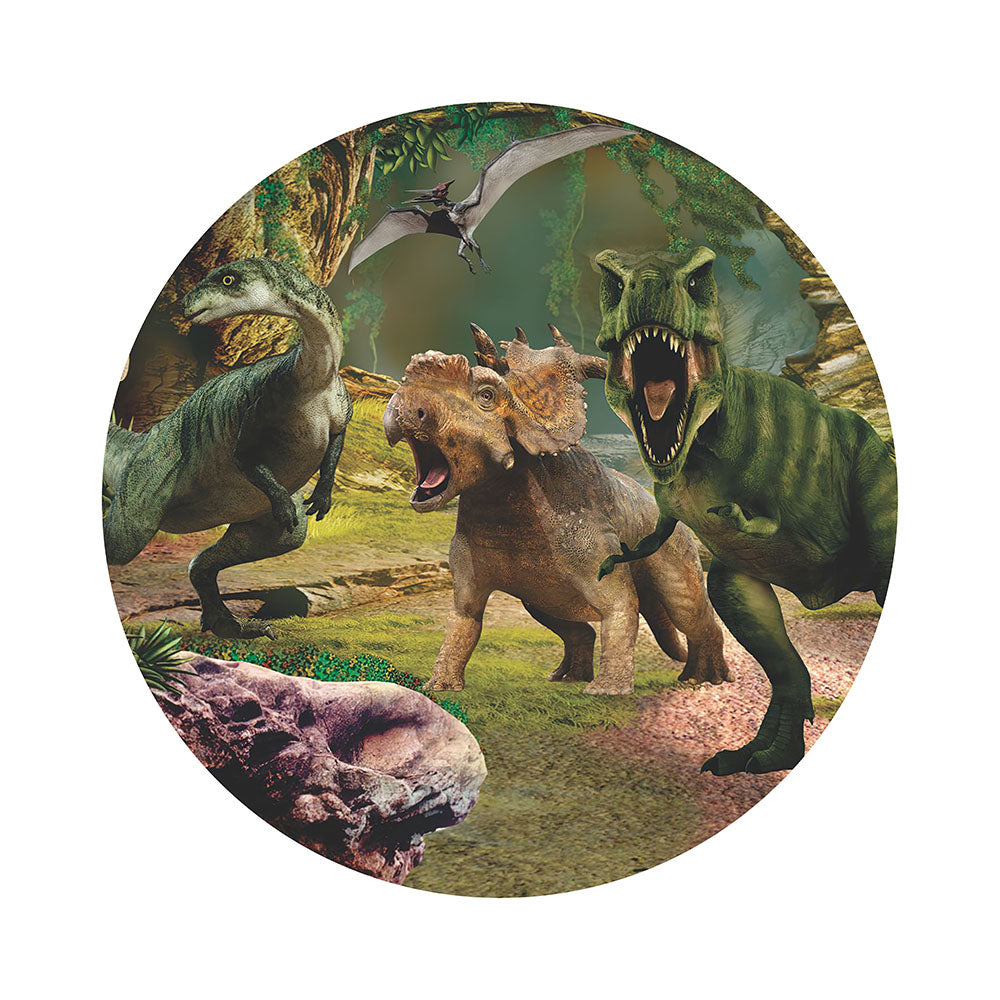 Dinosaur Park For Boys Round Backdrop Cover